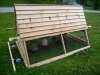 Chicken Coop