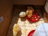 Baby Chicks, Outside Time