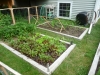 2009 - Raised Beds