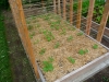 2011 - String Trellis